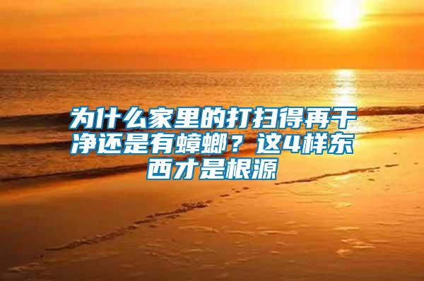 為什么家里的打掃得再干凈還是有蟑螂？這4樣?xùn)|西才是根源