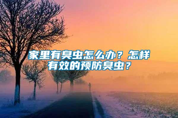家里有臭蟲怎么辦？怎樣有效的預防臭蟲？