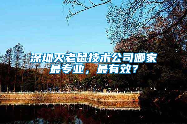 深圳滅老鼠技術公司哪家最專業，最有效？