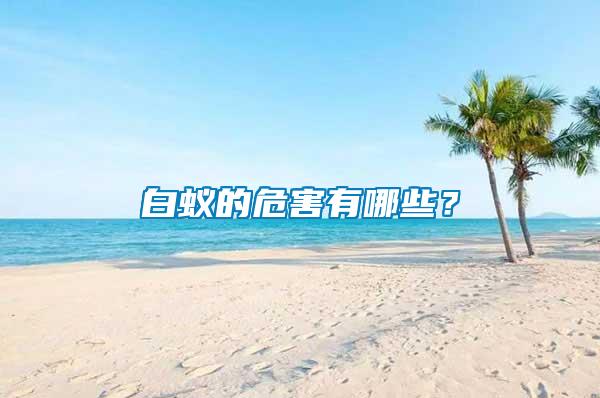 白蟻的危害有哪些？