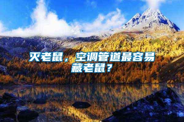 滅老鼠，空調(diào)管道最容易藏老鼠？