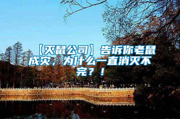 【滅鼠公司】告訴你老鼠成災(zāi)，為什么一直消滅不完？！