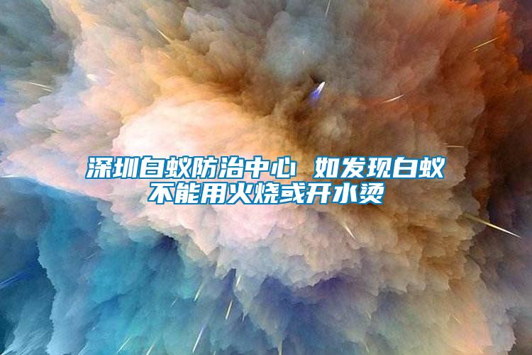 深圳白蟻防治中心 如發現白蟻不能用火燒或開水燙