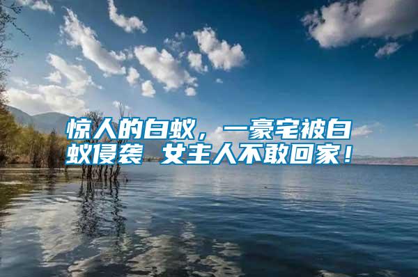 驚人的白蟻，一豪宅被白蟻侵襲 女主人不敢回家！