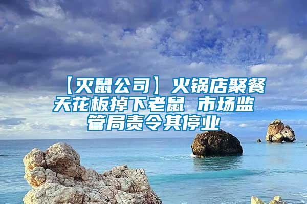 【滅鼠公司】火鍋店聚餐天花板掉下老鼠 市場監管局責令其停業