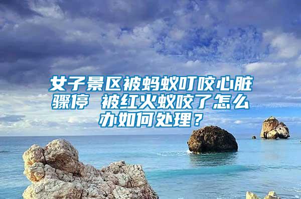 女子景區被螞蟻叮咬心臟驟停 被紅火蟻咬了怎么辦如何處理？