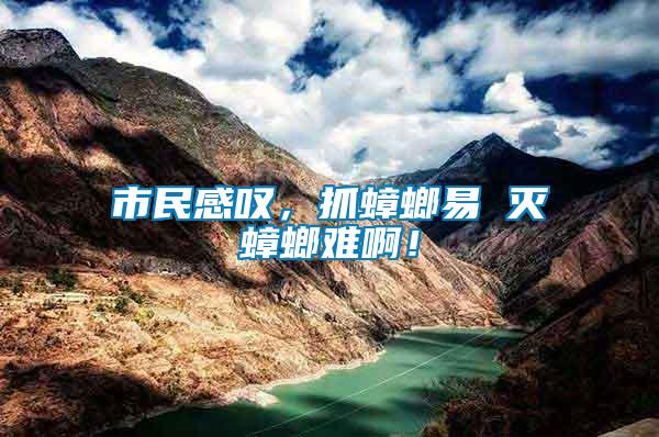 市民感嘆，抓蟑螂易 滅蟑螂難?。?/></p>
             <p style=