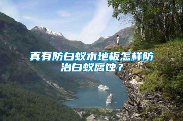 真有防白蟻木地板怎樣防治白蟻腐蝕？