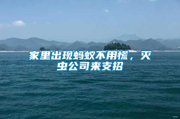 家里出現螞蟻不用慌，滅蟲公司來支招