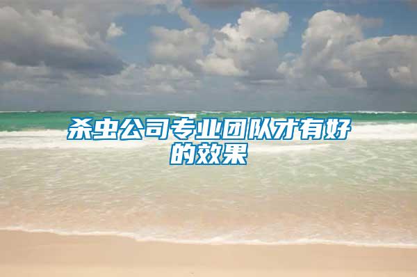 殺蟲公司專業團隊才有好的效果