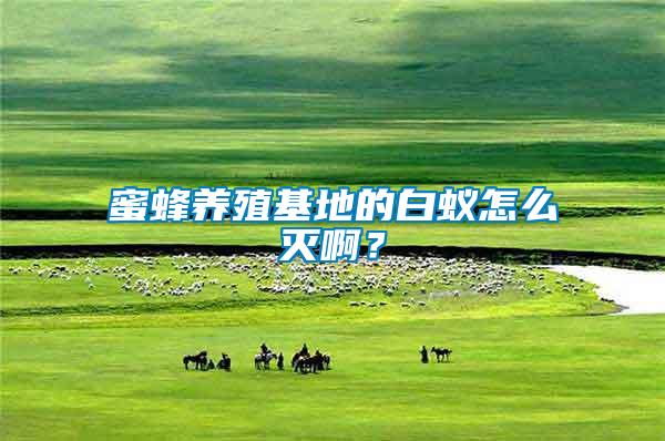 蜜蜂養殖基地的白蟻怎么滅啊？