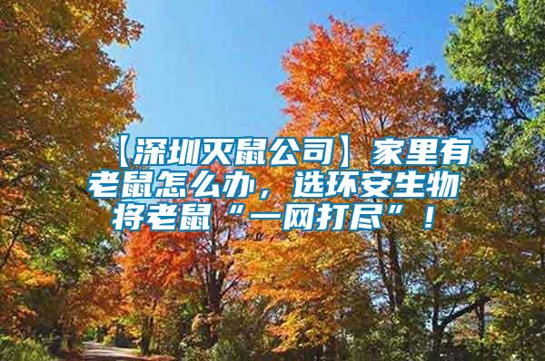 【深圳滅鼠公司】家里有老鼠怎么辦，選環安生物將老鼠“一網打盡”！