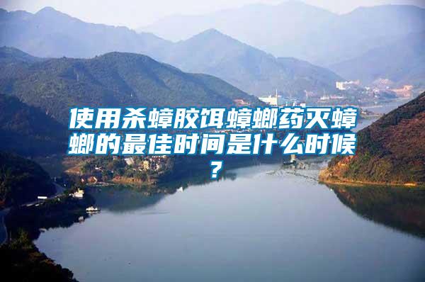 使用殺蟑膠餌蟑螂藥滅蟑螂的最佳時(shí)間是什么時(shí)候？