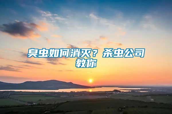 臭蟲如何消滅？殺蟲公司教你