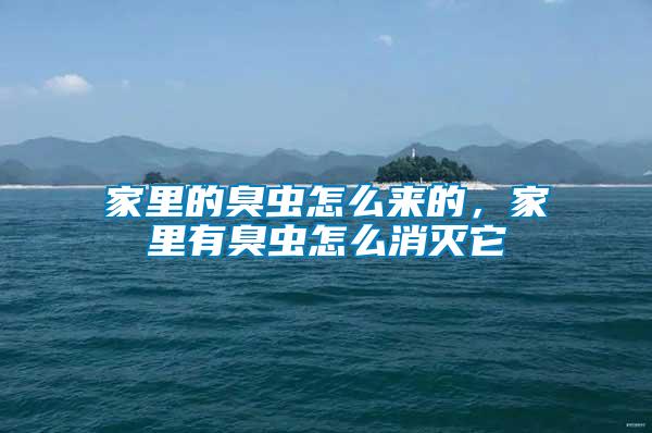 家里的臭蟲怎么來的，家里有臭蟲怎么消滅它