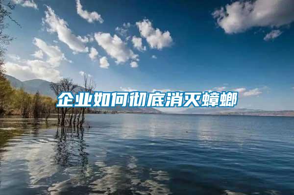 企業如何徹底消滅蟑螂