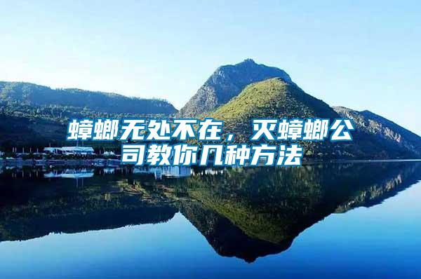 蟑螂無處不在，滅蟑螂公司教你幾種方法