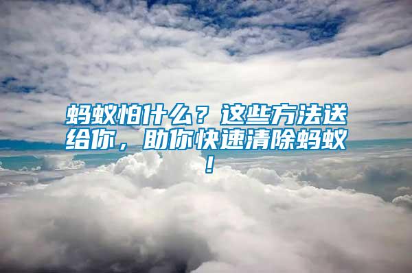 螞蟻怕什么？這些方法送給你，助你快速清除螞蟻！