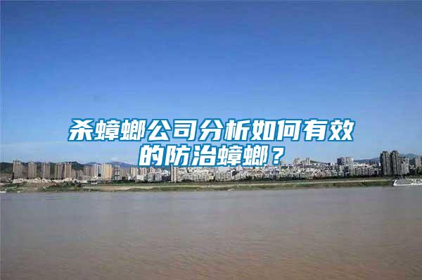 殺蟑螂公司分析如何有效的防治蟑螂？