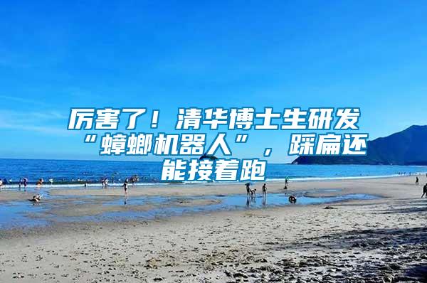厲害了！清華博士生研發(fā)“蟑螂機(jī)器人”，踩扁還能接著跑