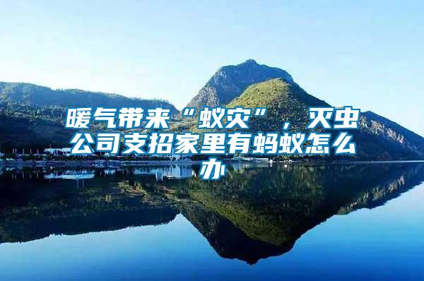 暖氣帶來(lái)“蟻災(zāi)”，滅蟲(chóng)公司支招家里有螞蟻怎么辦