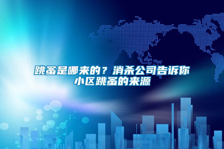 跳蚤是哪來的？消殺公司告訴你小區跳蚤的來源