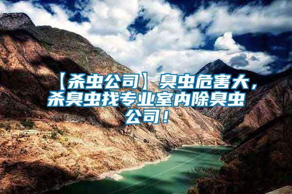 【殺蟲公司】臭蟲危害大，殺臭蟲找專業室內除臭蟲公司！