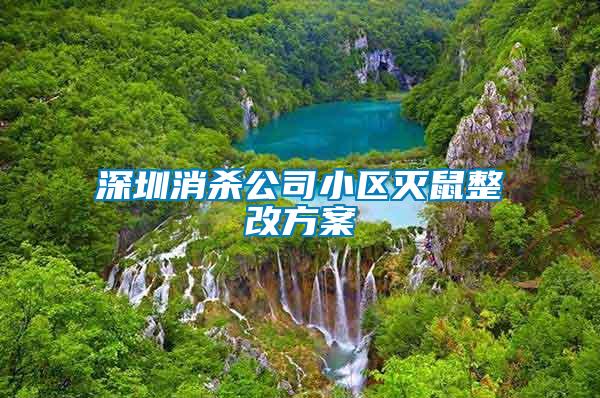深圳消殺公司小區滅鼠整改方案