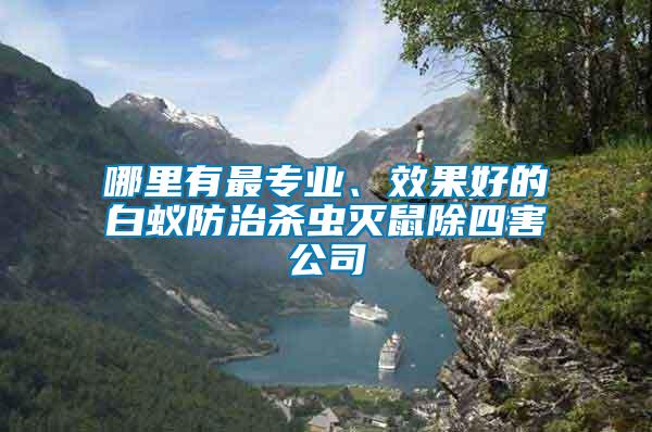 哪里有最專業、效果好的白蟻防治殺蟲滅鼠除四害公司