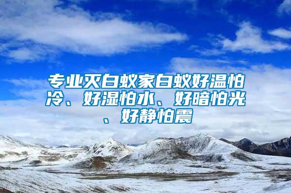 專業滅白蟻家白蟻好溫怕冷、好濕怕水、好暗怕光、好靜怕震