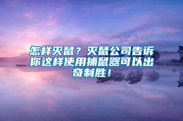 怎樣滅鼠？滅鼠公司告訴你這樣使用捕鼠器可以出奇制勝！