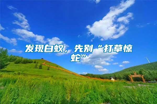 發現白蟻，先別“打草驚蛇”