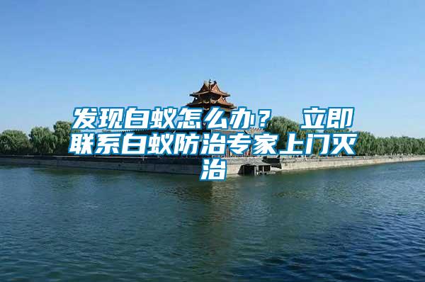 發(fā)現(xiàn)白蟻怎么辦？ 立即聯(lián)系白蟻防治專家上門滅治