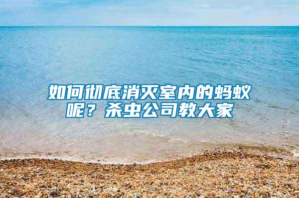 如何徹底消滅室內的螞蟻呢？殺蟲公司教大家