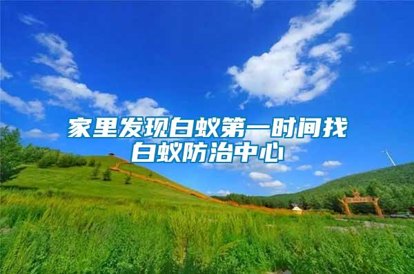 家里發現白蟻第一時間找白蟻防治中心