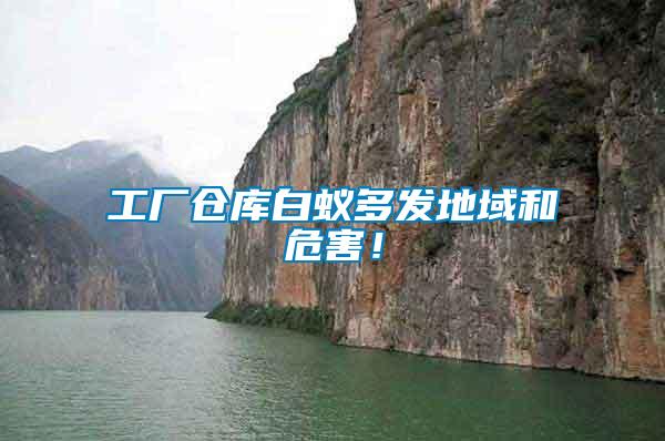 工廠倉庫白蟻多發地域和危害！