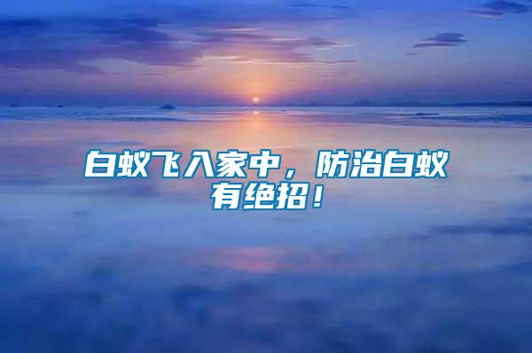 白蟻飛入家中，防治白蟻有絕招！