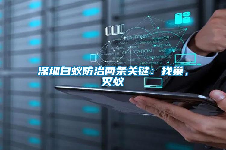 深圳白蟻防治兩條關鍵：找巢，滅蟻
