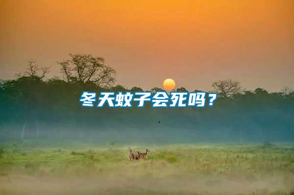 冬天蚊子會(huì)死嗎?