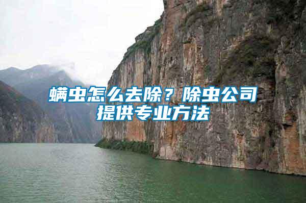 螨蟲怎么去除？除蟲公司提供專業方法