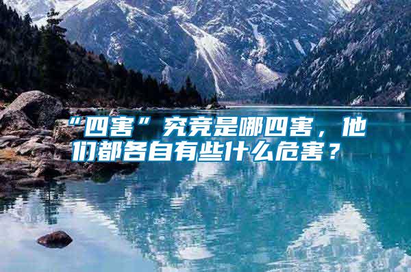 “四害”究競是哪四害，他們都各自有些什么危害？
