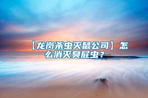 【龍崗殺蟲滅鼠公司】怎么消滅臭屁蟲？