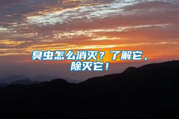 臭蟲怎么消滅？了解它，除滅它！