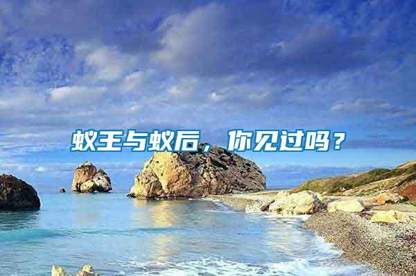 蟻王與蟻后，你見過嗎？