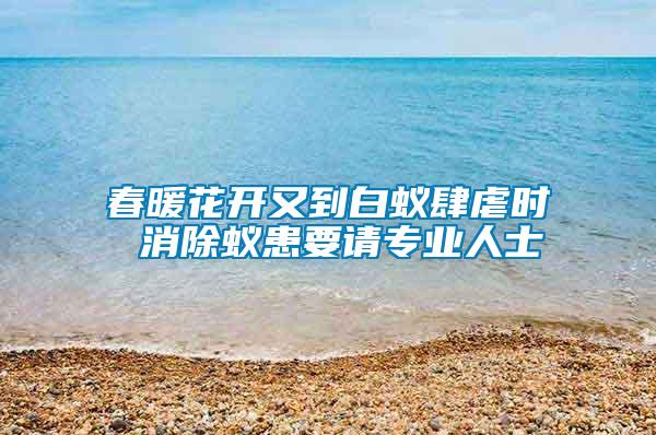 春暖花開又到白蟻肆虐時 消除蟻患要請專業人士