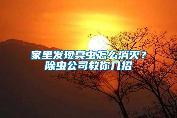 家里發(fā)現(xiàn)臭蟲怎么消滅？除蟲公司教你幾招