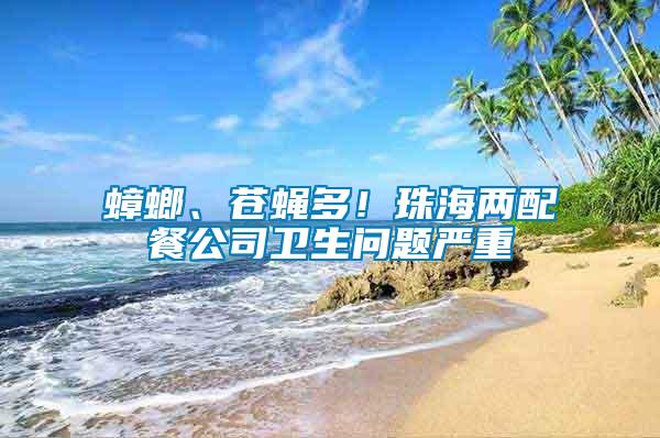 蟑螂、蒼蠅多！珠海兩配餐公司衛生問題嚴重