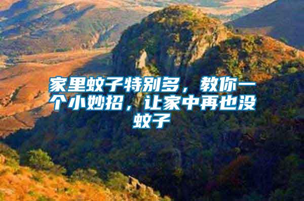 家里蚊子特別多，教你一個小妙招，讓家中再也沒蚊子