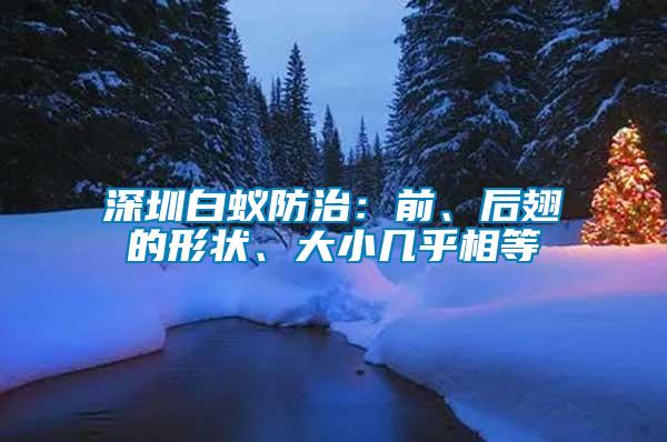 深圳白蟻防治：前、后翅的形狀、大小幾乎相等