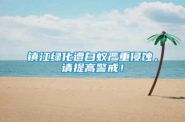 鎮江綠化遭白蟻嚴重侵蝕，請提高警戒！